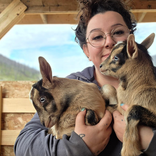 sweetpea farms baby goats