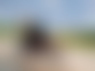 Balean a vendedor de helados durante transmisión en vivo en Salvatierra, Guanajuato: “Te amo, cuida a mis niños, me estoy muriendo”