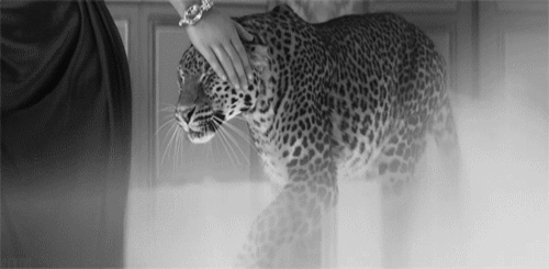 dbadd022f9e539480469ff55d2cf756f.gif
