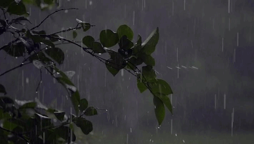 4e9b1fd378dcf229e8388ca71cd31452.gif