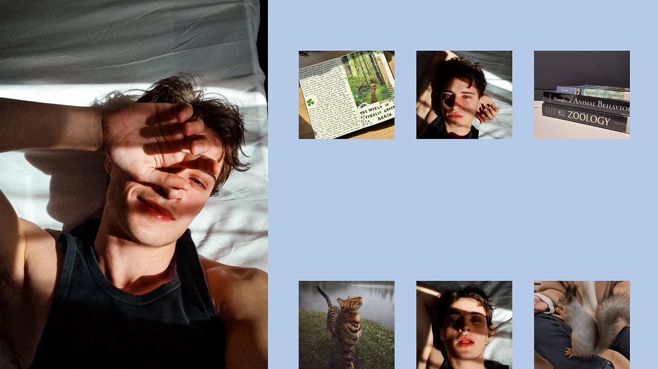 Thorstin Evergreen.png