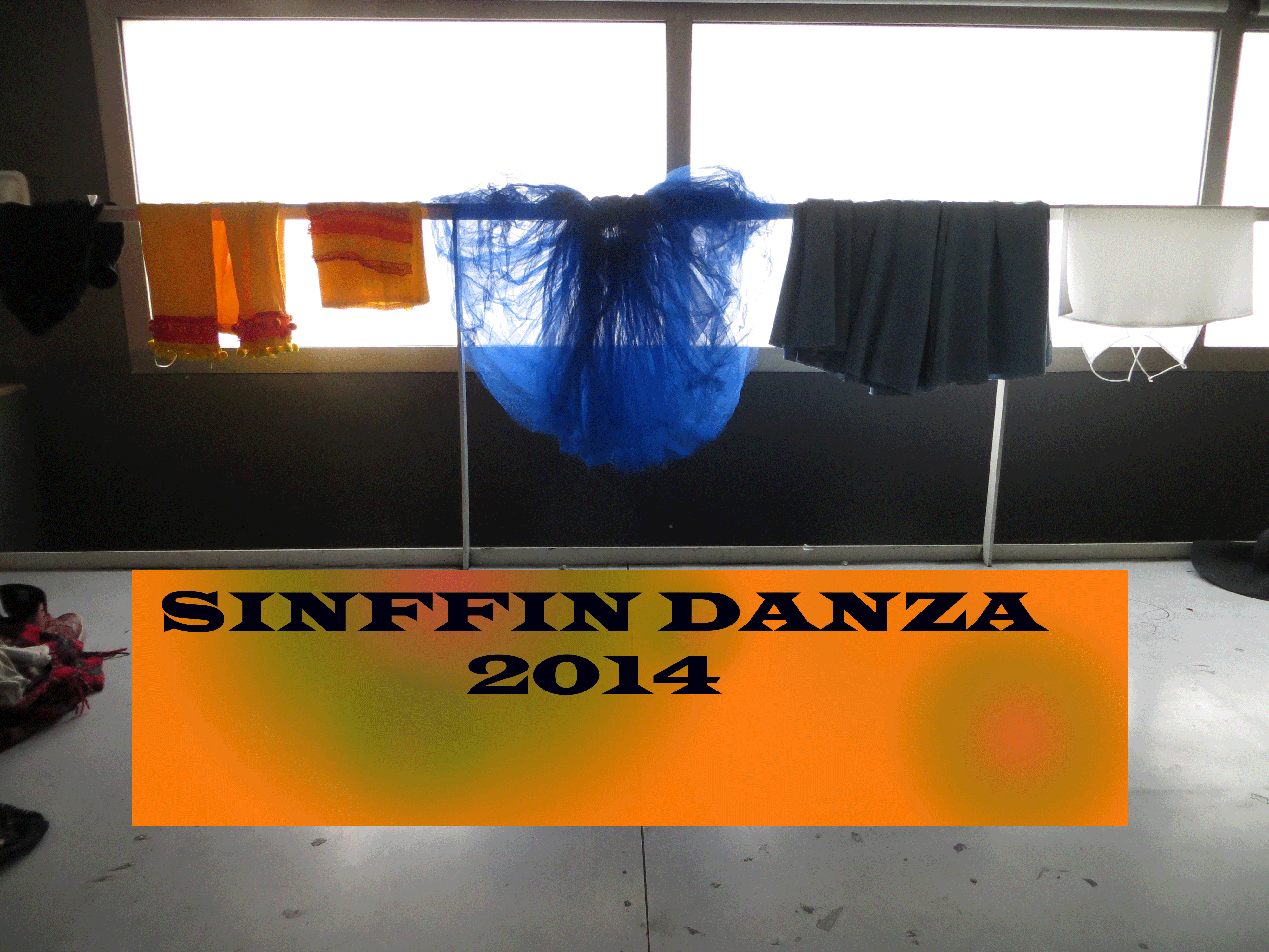 SINFFIN-DANZA-2014