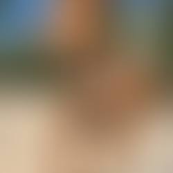 Fast and Hike - Day 3