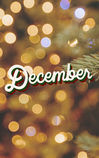 Christmas lights in the background. A sprig of fir tree off to the side. The words "December" centered in the frame. 