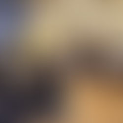 აკადემიაში ყოველწლიური შეჯიბრება  Spelling Bee გაიმართა