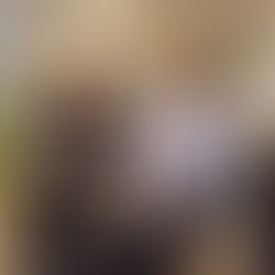 ღია კარის დღე "ფრესქულის" აღსაზრდელთა მშობლებისთვის