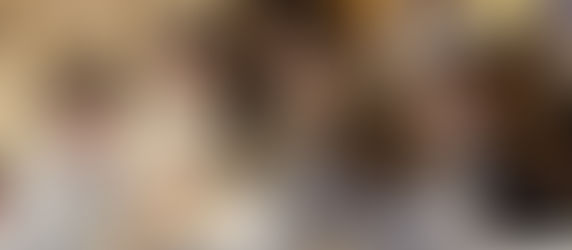 დავით აღმაშენებლის ეპოქაზე აკადემიაში ვიქტორინა გაიმართა