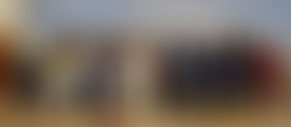 CEA-ს მეოთხეკლასელებმა სამი პროექტი წარმოადგინეს