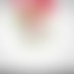 სკოლამდელი აღზრდის პროგრამის აღსაზრდელებს გამოსაშვები ცერემონია!