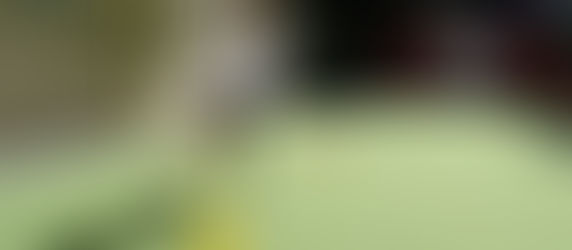 CEA-ში "მხიარული სტარტები" ჩატარდა