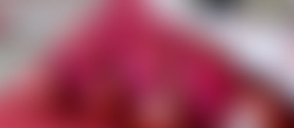 CEA-ში 2023-24 სასწავლო წელი დაიწყო