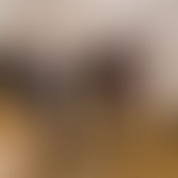 V ა კლასის მოსწავლეეები ჭავჭავაძის სახლ-მუზეუმში