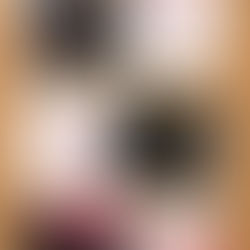 "ოკუპაციის კვირეული" cea-ში!