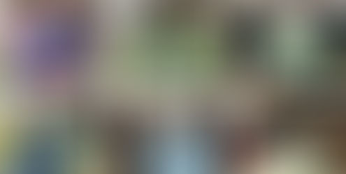 დედამიწის დღე თანამედროვე განათლების აკადემიაში