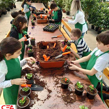 მეორე გ კლასის ვიზიტი სანერგეში "მწვანე სახლი"