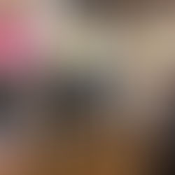 აკადემიის მოსწავლებისთვის ოკუპაციის თემაზე, ლექცია-ვორქშოპი მოეწყო