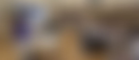 აკადემიის მოსწავლეებმა სამაგიდო თამაშები შექმნეს