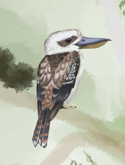 Screen Shot 2023-02-01 at 7.01.36 pm.png