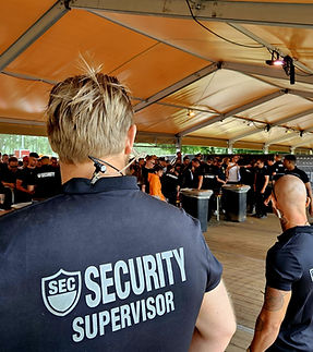 Toeganscontrole tijdens evenement