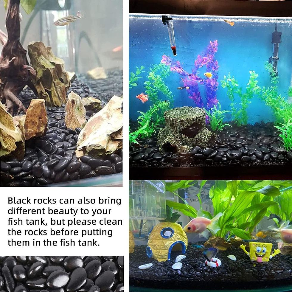 Thumbnail: Polished Black Pebbles Marble Stone for Home & Garden Decoration pots