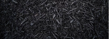 Screen Shot 2025-02-05 at 3.34.31 PM.png