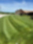 Lawncare Picture The view.jpg