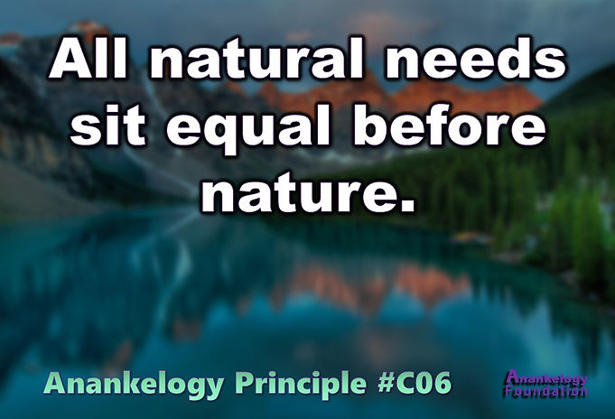 C06 General Principle