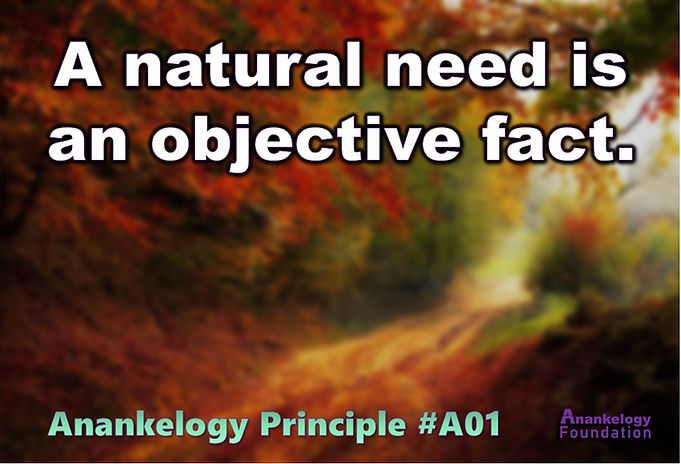 A01 Foundational Principle