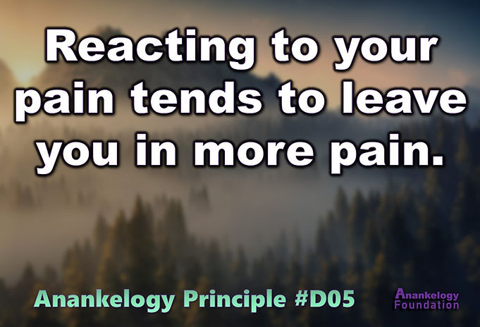 D05 Pain Principle