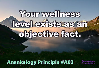 <p class="font_8">Which do you think is more likely?</p>
<p class="font_8" style="text-align: center">Whatever degree of wellness or sickness you're in right now is totally a subjective thing.</p>
<p class="font_8" style="text-align: center">OR</p>
<p class="font_8" style="text-align: center">Your current degree of wellness or sickness is shaped by factors outside of your subjective experience.</p>
<p class="font_8"><br></p>
<h2 class="font_2">Anankelogy</h2>
<p class="font_8">While "level of functioning" or "capacity level to function" sounds more technically accurate, accessible anankelogy considers wellness as the same thing.</p>
<p class="font_8"><br></p>
<p class="font_8">You can make a subjective decision to drink water in response to your thirst. But the fact you cannot do much while dehydrated has little if anything to do with your subjective experience. Lack of water will stop you in your tracks.</p>
<p class="font_8"><br></p>
<p class="font_8">Sure, you may suffer dehydration as a consequence of a subjective decision. But once your body registers a significant drop in fluidity, your requirement to replenish your body with more water occurs independent of your subjectivity. Your body demands sufficient water in order to function whether you like it or not. Same goes for your nonphysical needs. Like security.</p>
<p class="font_8"><br></p>
<h2 class="font_2">Need-response</h2>
<p class="font_8">Need-response recognizes four levels of functioning. These range from peak wellness to terminal illness.</p>
<ol class="font_8">
<li><p class="font_8"><a href="https://www.anankelogyfoundation.org/post/4-levels-and-nuance-of-the-functionality-array#viewer-3t3d8"><strong>Peakfunction</strong></a>. When you can promptly and fully resolve all of your needs, you can reach your life's full potential. You objectively can function at a high degree.</p></li>
<li><p class="font_8"><a href="https://www.anankelogyfoundation.org/post/4-levels-and-nuance-of-the-functionality-array#viewer-dmf5t"><strong>Symfunction</strong></a>. When at best you can ease your needs by partially resolving them, often with the cold cooperation of others, you reach an adequate level of wellbeing. You objectively operate at a level that fits in with most others. Not too bad but not your best.</p></li>
<li><p class="font_8"><a href="https://www.anankelogyfoundation.org/post/4-levels-and-nuance-of-the-functionality-array#viewer-6d0mo"><strong>Dysfunction</strong></a>. When you cannot resolve all of your needs or ease them, but increasingly merely relieve the resulting pain, you slip into substandard wellness. You objectively cannot do things you likely could do before, like regulate your emotions or contain your angry outbursts. While seemingly subjective choices, these emerge from an objective core of severely diminished capacity to function.</p></li>
<li><p class="font_8"><a href="https://www.anankelogyfoundation.org/post/4-levels-and-nuance-of-the-functionality-array#viewer-43bud"><strong>Misfunction</strong></a>. When you cannot address your most basic needs, like hunger, security or social cooperation in a crisis, you slide into a dark place on the cusp of destruction and likely death. You objectively cannot do almost anything, except strive to survive. If that.</p></li>
</ol>
<p class="font_8"><br></p>
<h3 class="font_3">Reactive Problem</h3>
<p class="font_8">Social norms assuming each behavior stems from rational choices, regardless of the level of calm or desperation emanating from one's wellness level, creates and perpetuates many problems.</p>
<p class="font_8"><br></p>
<p class="font_8">Mixed with the hyper-individualism myth that overlooks the impact from externalities (like getting cut off from food), assuming each one's level of functionality is an individual subjective experience tends to serve the interests of those who gain from other's diminished capacity.</p>
<p class="font_8"><br></p>
<p class="font_8">Need-response addresses how power differentials tend to limit how well subordinates can resolve their outward-facing needs. An employee's need to be valued, for example, may decrease less from their valuable contribution and more from the employer shifting priorities to keep pace with a volatile market. Excess attention on the internal subjective aspects risk normalizing unhealthy externalities, like the potential for power differentials to impose poor options.</p>
<p class="font_8"><br></p>
<h3 class="font_3">Responsive Solution</h3>
<p class="font_8">Need-response identifies coerced poor options dependence (or CoPOD for short). As accessible options diminish, one can grow dependent on the most reliably accessible option. Even if substandard. Processed foods, for example, is better than rotten food.</p>
<p class="font_8"><br></p>
<p class="font_8">Diminished wellness is not solely a result of making poor choices among stellar options. Dysfunction typically results from matters outside of subjective experience.</p>
<p class="font_8"><br></p>
<p class="font_8">Need-response proactively addresses our declining rates of wellness by first addressing the unresolved needs at the core. Not deferring to rules or to reasoning, which typically favors symfunctionality over peakfunctionality.</p>
<p class="font_8">To resolve those identified needs, we best unpack what can be called react culture. That refers to social or cultural norms that privilege anything less than properly resolving needs.</p>
<p class="font_8"><br></p>
<p class="font_8">Most of us feel trapped in what anankelogy identifies as symfunction capture. Fewer of needs fully resolve for reasons beyond our control, so we lack sufficient capacity to properly address our remaining needs. Need-response cuts through this malaise by incentivizing one another to honor the needs of others as one's own. Yeah, to fix problems with the power of love.</p>
<p class="font_8"><br></p>
<h2 class="font_2">Responding to <em>your </em>needs</h2>
<p class="font_8">How does this principle speak to your experience of needs?</p>
<ul class="font_8">
<li><p class="font_8">There must be some subjective element or I'd feel utterly powerless.</p></li>
<li><p class="font_8">What about the role of free will in the level of our wellness?</p></li>
<li><p class="font_8">Shouldn't laws be enough to secure our optimal wellness?</p></li>
<li><p class="font_8">Certainly some of our wellness level exists as subjective phenomena.</p></li>
</ul>
<p class="font_8">Instead of selecting one of these, feel free to post your own.</p>