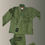 Thumbnail: Adult Green Turtle GI