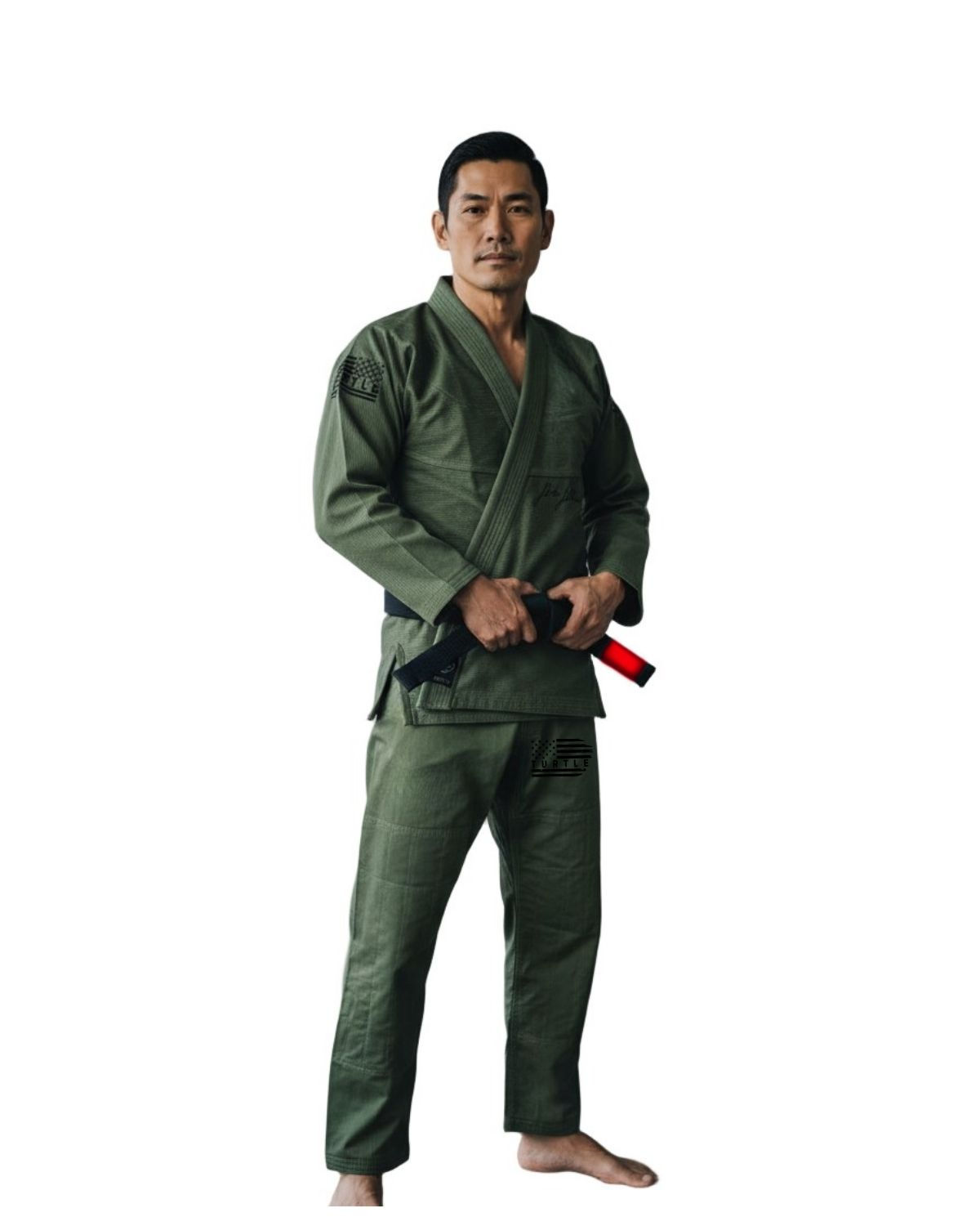 Adult Green Turtle GI