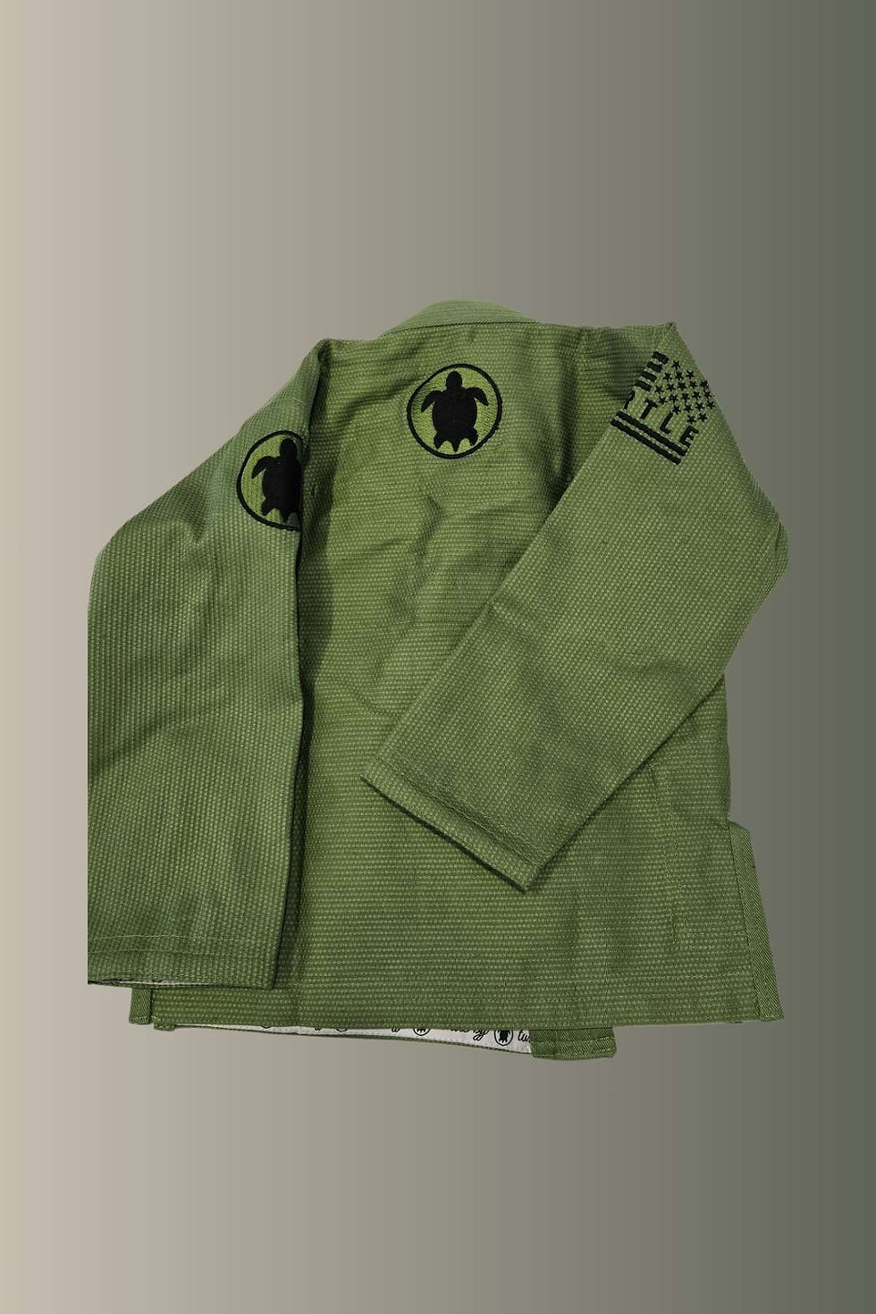 Thumbnail: Adult Green Turtle GI