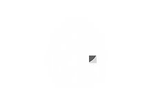 Copy of Untitled (7).png