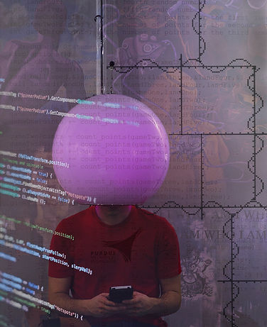 Interrupted Landscape 1.jpg