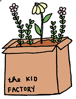 image1.png