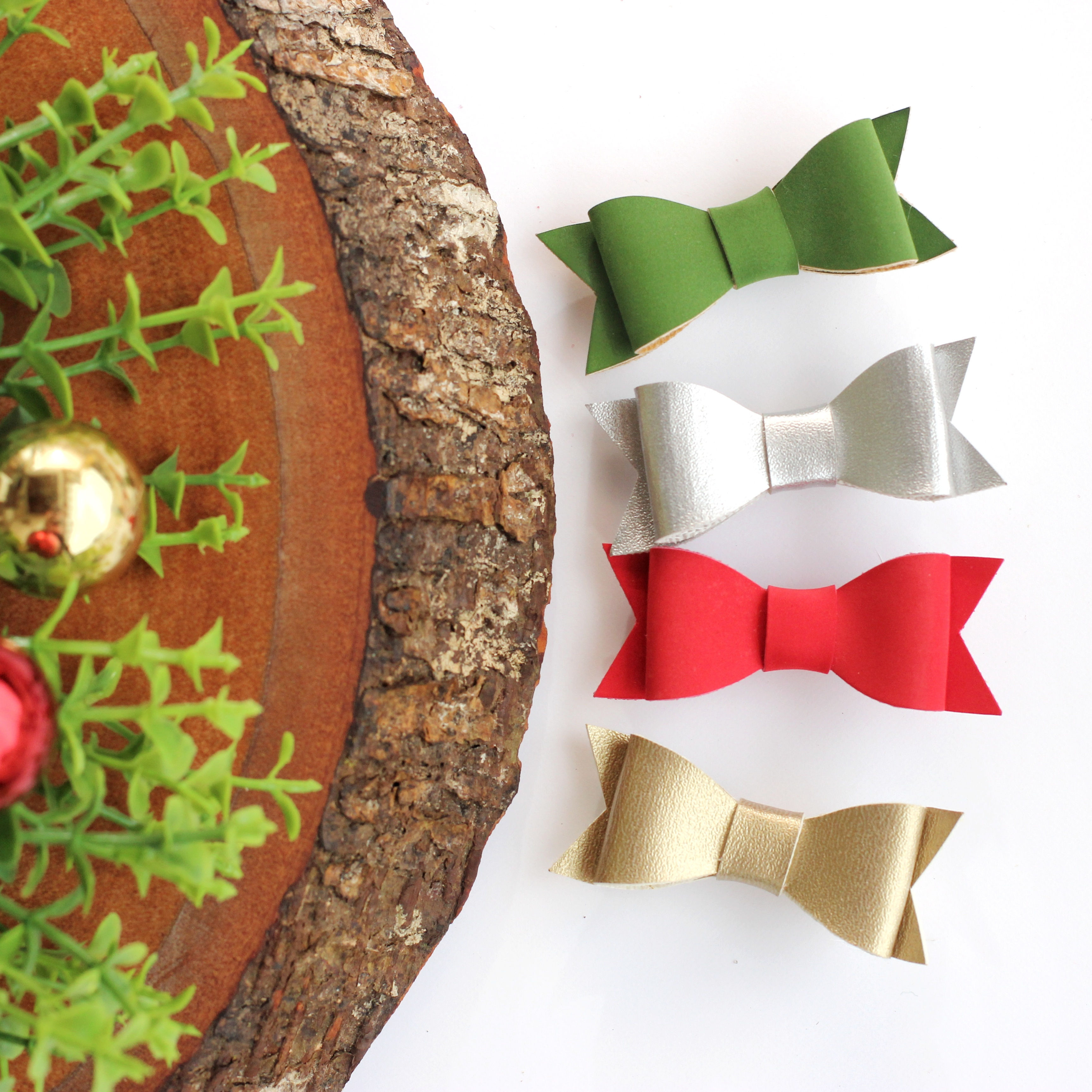 Laço Bia - Edição Especial