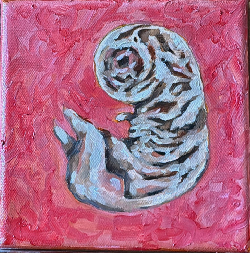 Conception