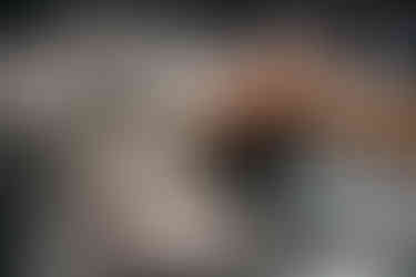 Aizsargplēves uzstādīšana ir precīzs process un komandas darbs.