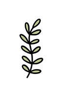 haylee b photo flower