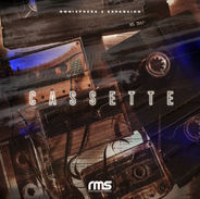 Cassette for Omnisphere 2