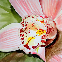 Orquídea IX
