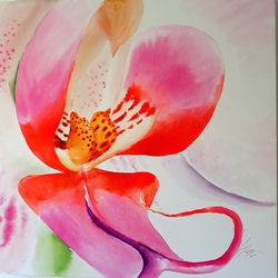Orquidea XII