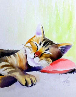 Relaxado