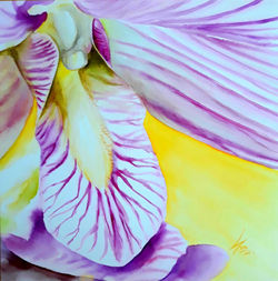 Orquídea II