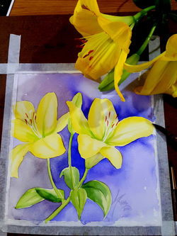 Lírio Amarelo