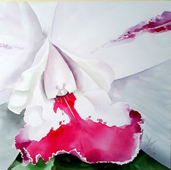 Orquídea I