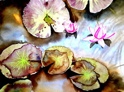 Lotus