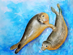 Focas