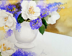 Camélias Brancas
